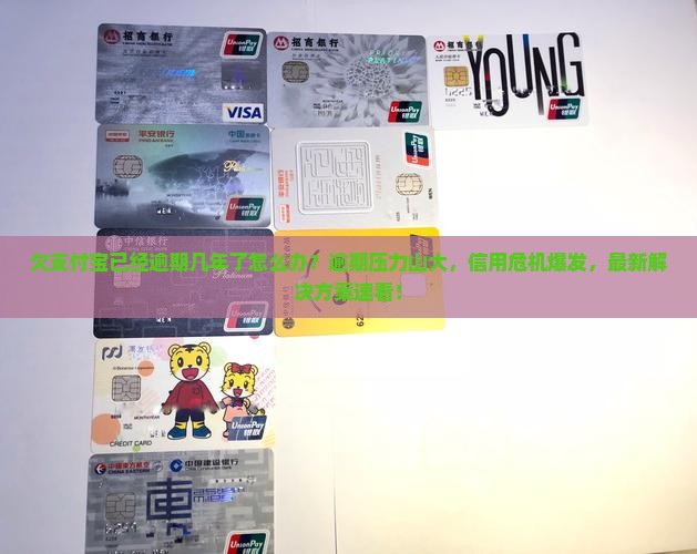 欠支付宝已经逾期几年了怎么办