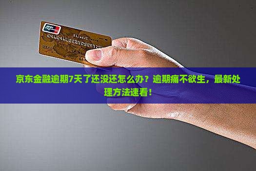 京东金融逾期7天应该怎么处理