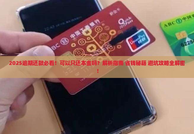 逾期还款可以还本金吗