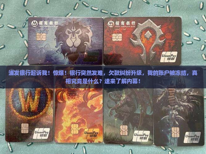 浦发银行起诉我
