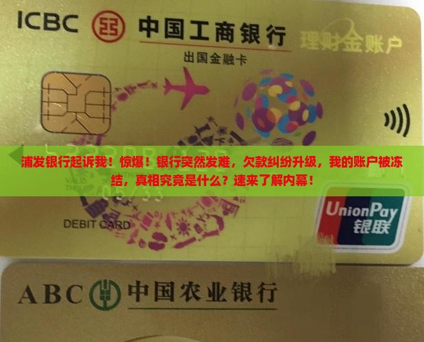 浦发银行起诉我