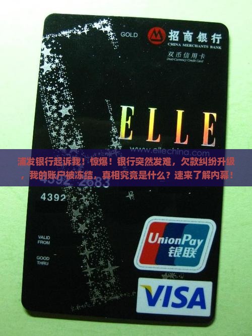 浦发银行起诉我
