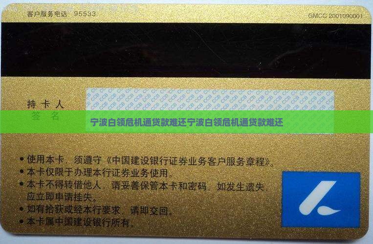 宁波白领危机通贷款难还