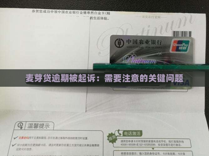 麦芽贷逾期被起诉需要注意哪些问题