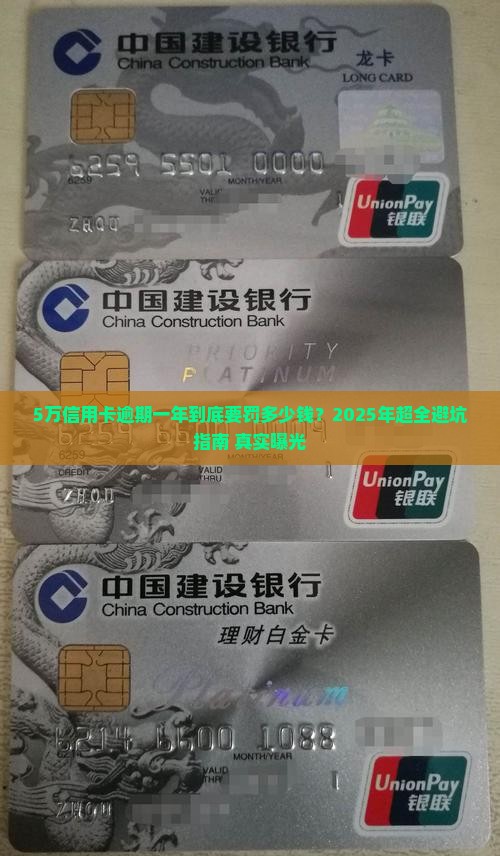 5万信用卡逾期一年罚息多少钱