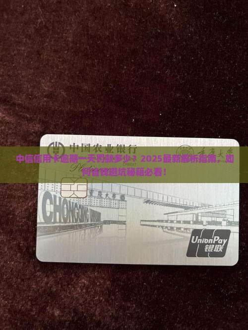 中信信用卡逾期一天需要交多少罚款