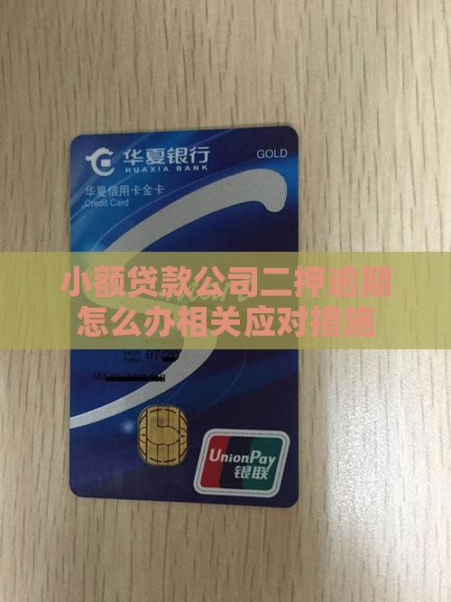 小额贷款公司二押逾期怎么办相关应对措施