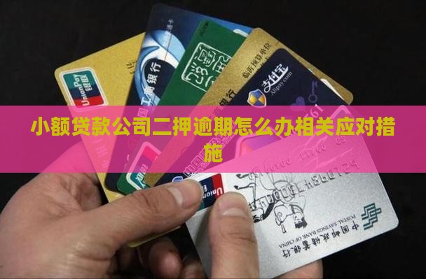 小额贷款公司二押逾期怎么办相关应对措施