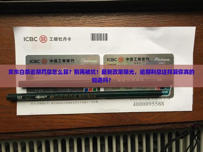京东白条逾期罚息怎么算