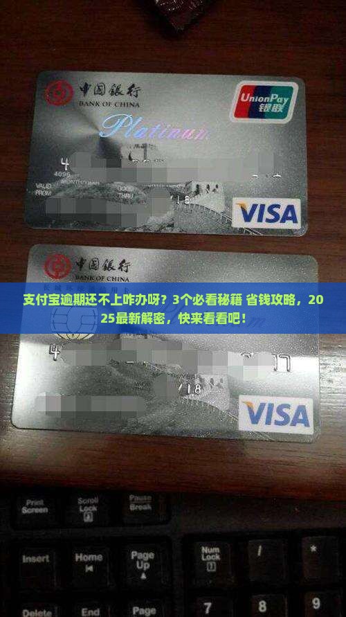支付宝逾期还不上咋办呀要怎么处理