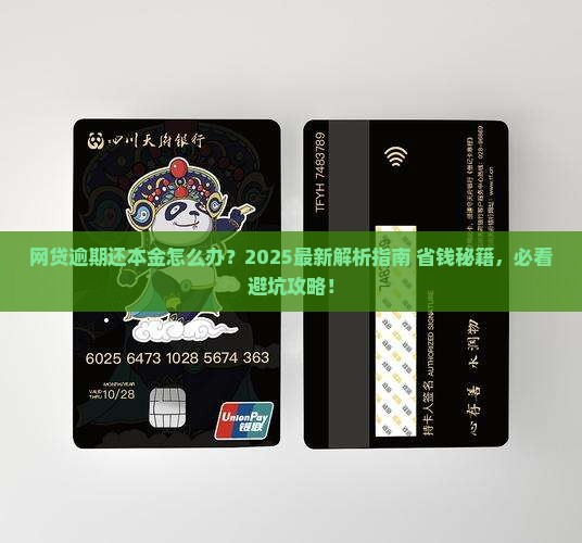 网贷逾期还本金案例分析