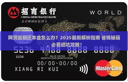 网贷逾期还本金案例分析