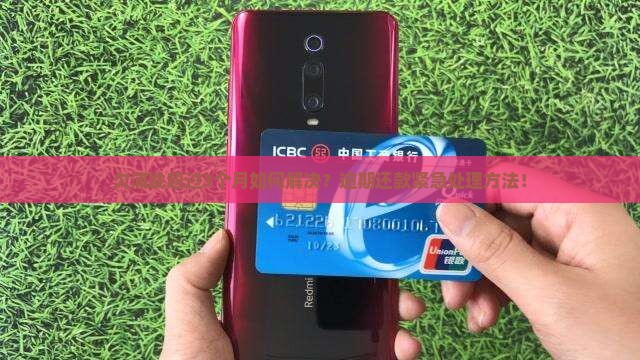 欠浦发超过3个月如何解决