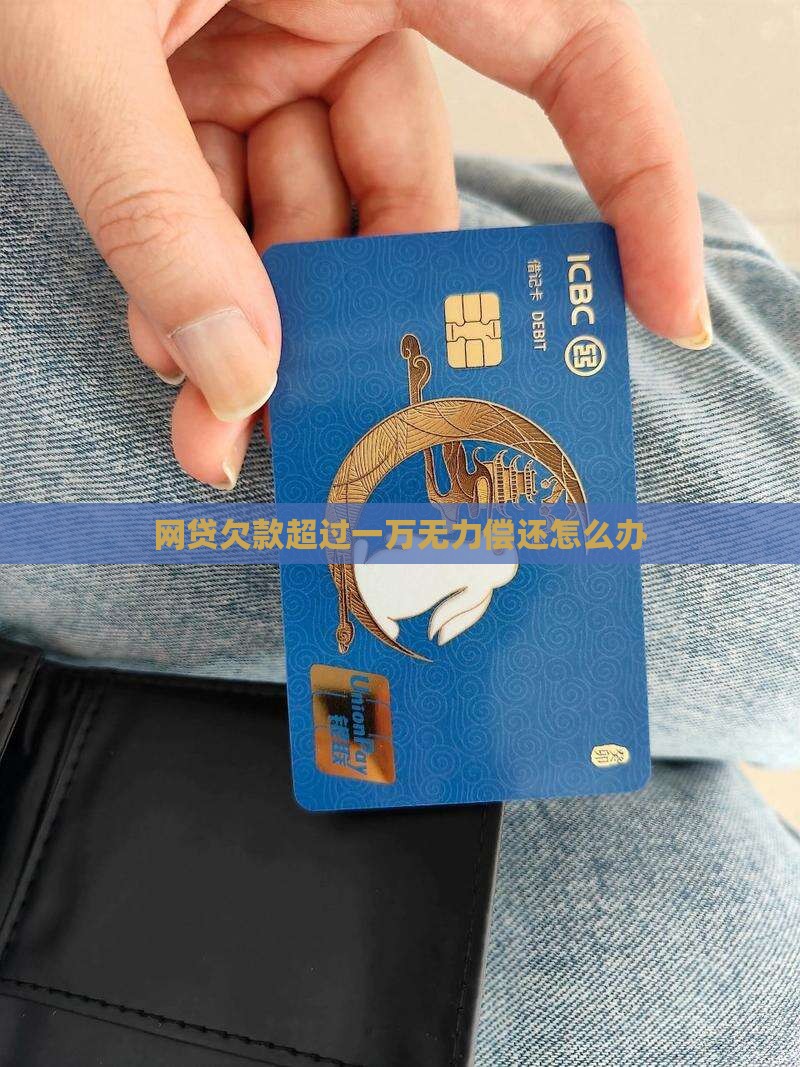 网贷欠款超过一万无力偿还怎么办