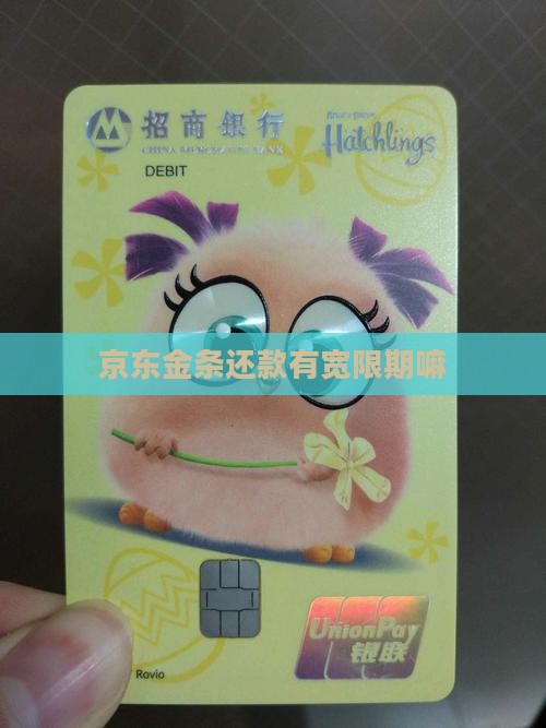 京东金条还款有宽限期嘛