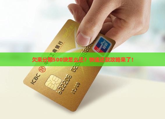 欠来分期500块怎么还
