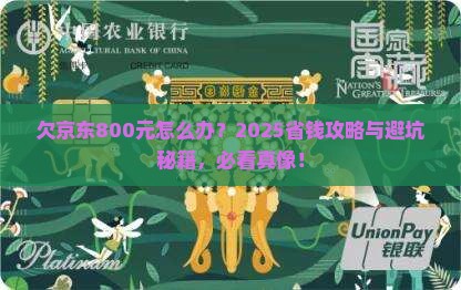 欠京东白条800元会怎么样