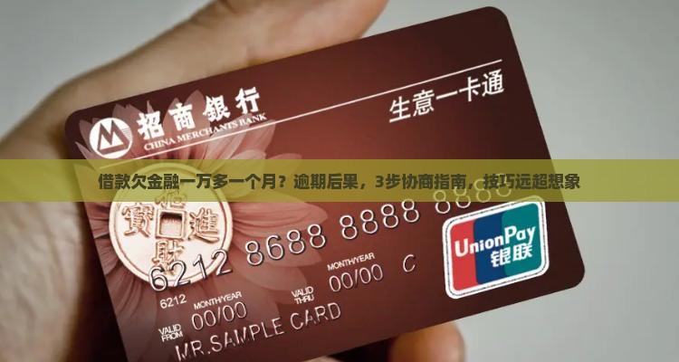 借款欠招联金融一万多一个月