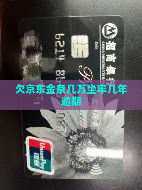 欠京东金条几万判刑几年