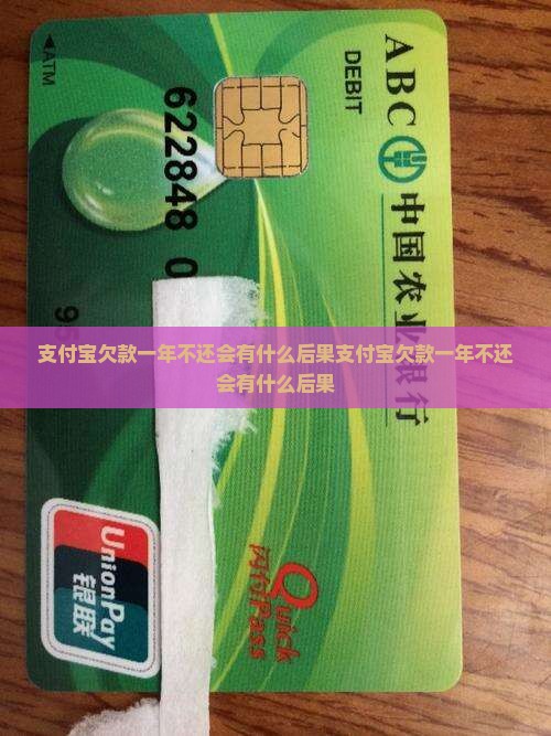 支付宝欠款一年不还会有什么后果