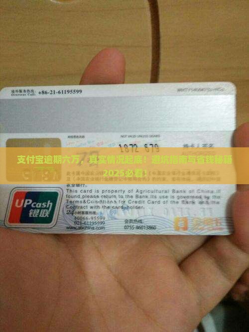 支付宝逾期六万真实情况曝光