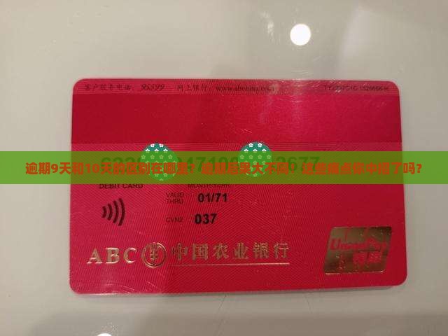 白条逾期9天和10天的区别在哪里