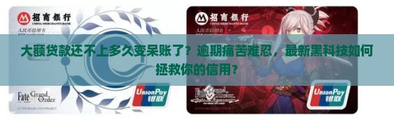 大额贷款还不上多久变呆账了