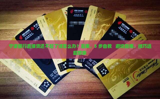 宁波银行直接贷还不起了该怎么办