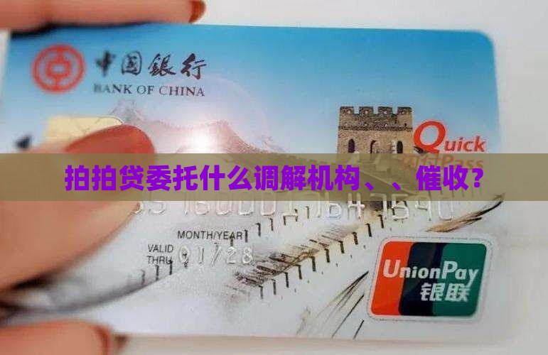 拍拍贷委托什么调解机构