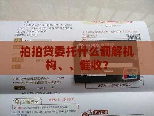 拍拍贷委托什么调解机构