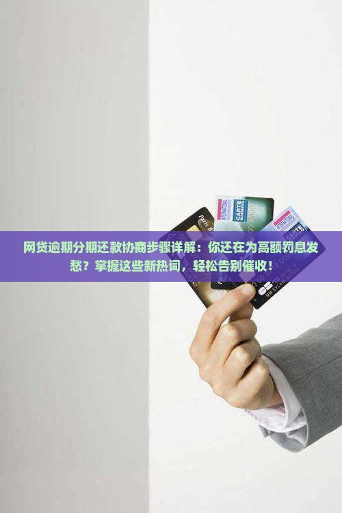 网贷逾期分期还款协商步骤详解