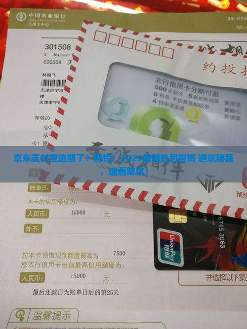 京东支付宝逾期了会受到什么处罚