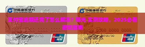支付宝逾期还完了冻结怎么解冻