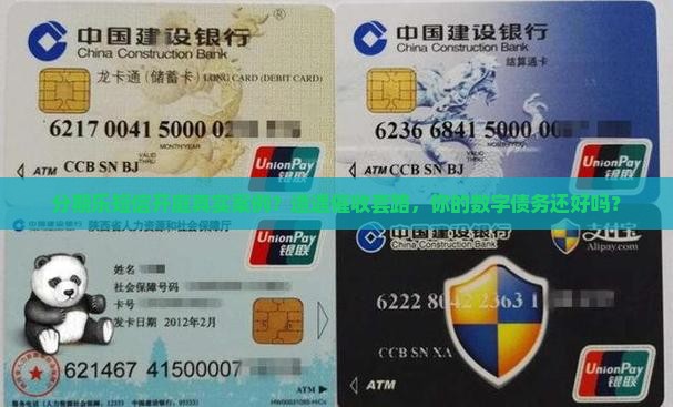 分期乐短信开庭真实案例揭秘