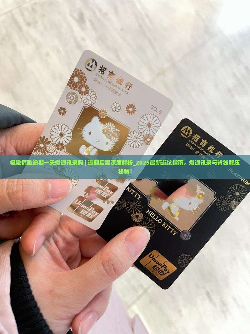 极融借款逾期一天爆通讯录吗如何处理