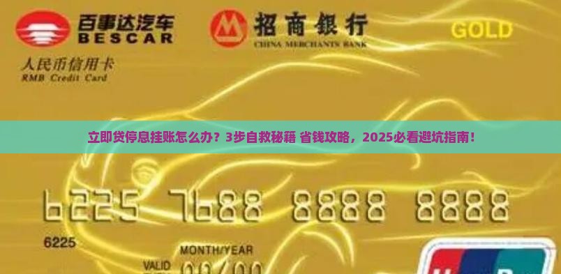 立即贷停息挂账怎么办