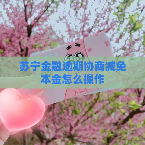 苏宁金融减免本金怎么操作