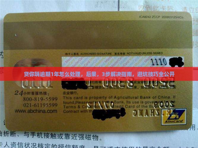贷你嗨逾期1年怎么处理