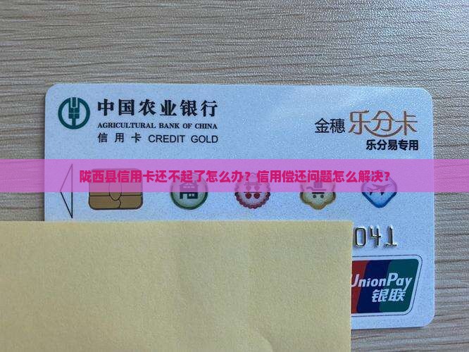 陇西县信用卡还不起怎么办