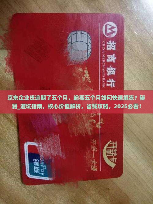 京东企业贷逾期了五个月