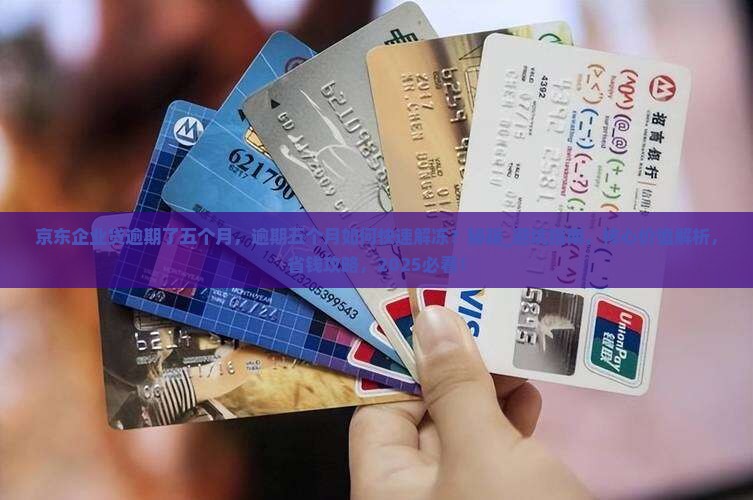 京东企业贷逾期了五个月