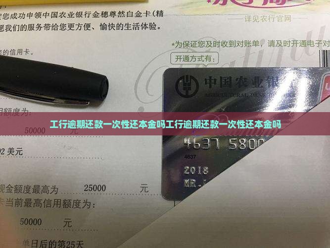 工行逾期还款一次性还本金吗