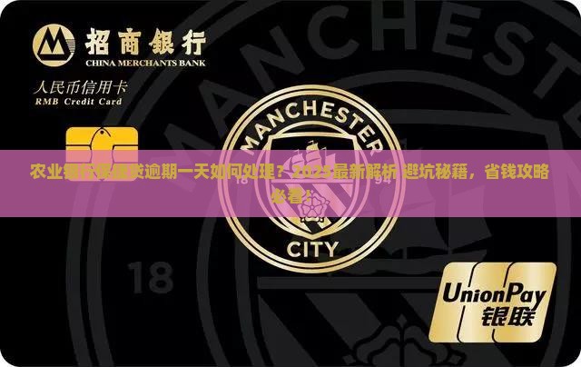 农业银行保捷贷逾期一天如何处理