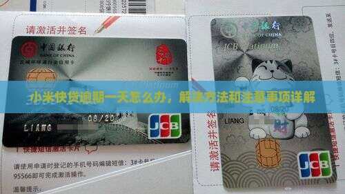 小米快贷逾期一天怎么办