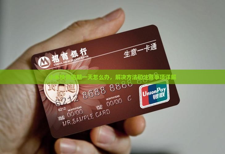 小米快贷逾期一天怎么办