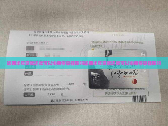 逾期半年贷款还款可以协商停息挂账吗