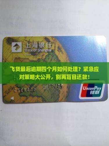 飞贷最后逾期四个月如何处理