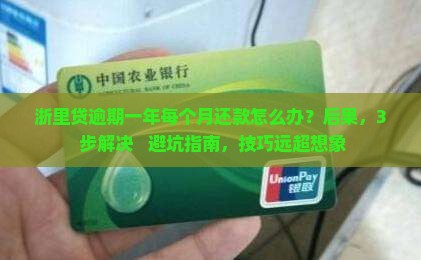 浙里贷逾期一年每个月还款如何处理