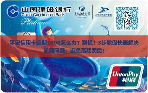 平安信用卡逾期3800怎么办