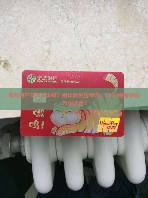 农行商户贷欠多少钱
